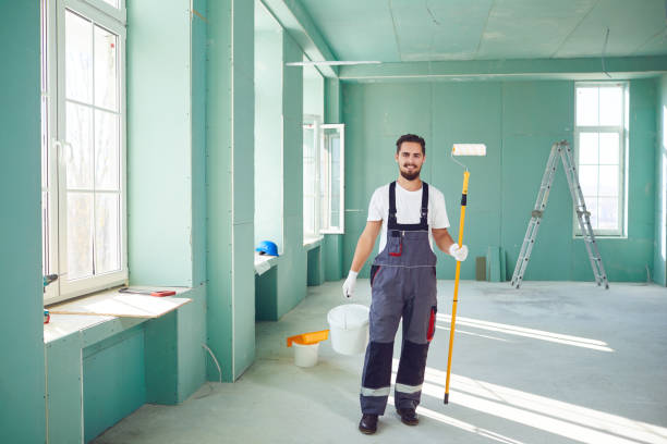 Trusted Rantoul, IL Mold Removal Experts
