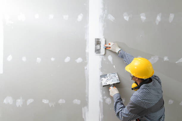 Best Residential Mold Inspection & Testing  in Rantoul, IL