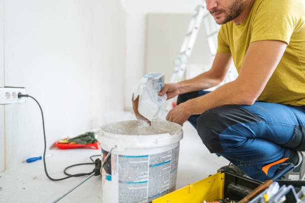  Rantoul, IL Mold Removal Pros