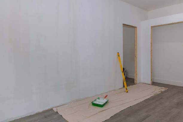 Best Environmental Consulting for Mold Prevention  in Rantoul, IL
