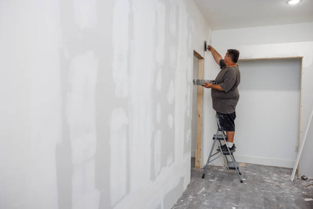 Mold Documentation for Insurance Claims in Rantoul, IL