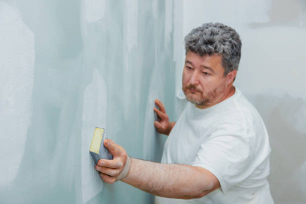 Best Dehumidification Services  in Rantoul, IL