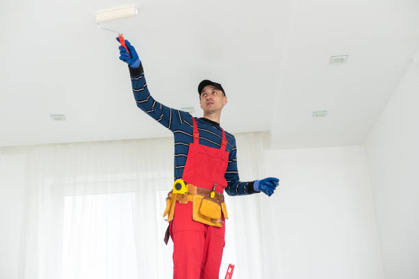 Best Real Estate Mold Inspection  in Rantoul, IL