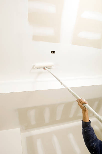 Best Biohazard Mold Removal  in Rantoul, IL