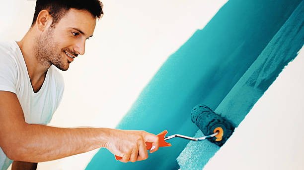 Best Forensic Mold Investigation  in Rantoul, IL